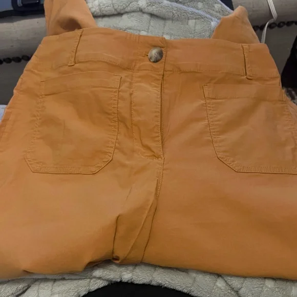 Nicole Miller Apricot Pants - Picture 4 of 7